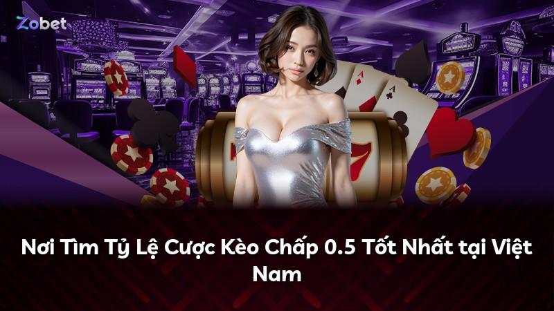 Nơi Tìm Tỷ Lệ Cược Kèo Chấp 0.5 Tốt Nhất tại Việt Nam